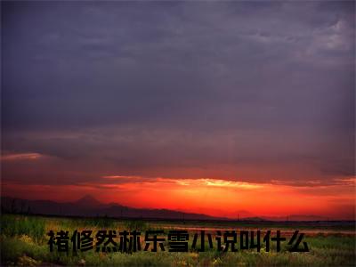 褚修然林乐雪(褚修然林乐雪)全文阅读无弹窗大结局_褚修然林乐雪免费阅读无弹窗最新章节列表