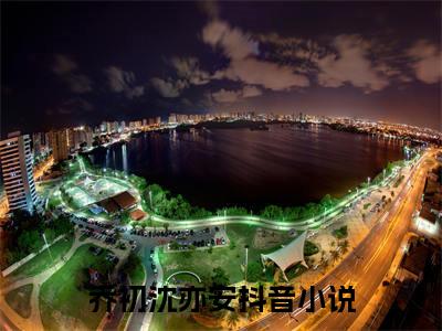小说乔初沈亦安全文阅读-（乔初沈亦安）小说乔初沈亦安大结局