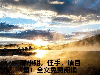 林泱程野林小姐，住手，请自重！全文免费完整版,林泱程野最新章节完整版阅读