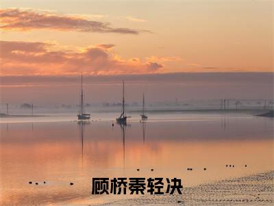 顾桥秦轻决全文免费阅读无弹窗大结局_ 顾桥秦轻决热门章节在线阅读笔趣阁