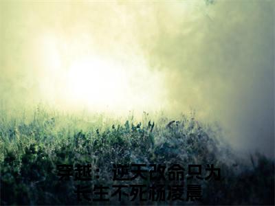 穿越：逆天改命只为长生不死杨凌晨小说免费在线阅读无弹窗-主角是穿越：逆天改命只为长生不死杨凌晨的小说