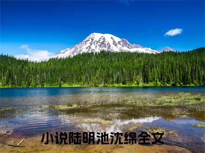 陆总别虐了，沈小姐每天都想嫁人（陆明池沈绵）全文免费阅读无弹窗大结局_陆明池沈绵完整版小说阅读（陆总别虐了，沈小姐每天都想嫁人）