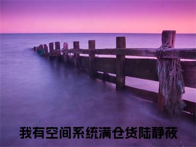 小说完整版我有空间系统满仓货陆静莜大结局-我有空间系统满仓货陆静莜是什么书《我有空间系统满仓货陆静莜》