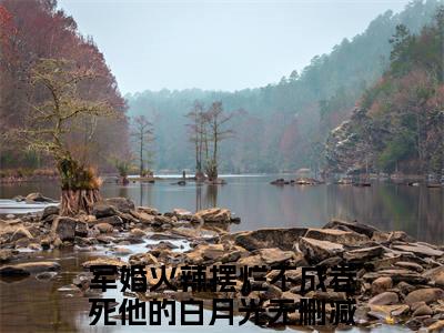 军婚火辣摆烂不成卷死他的白月光(苏妍陆霆)小说免费阅读无弹窗完整版_(苏妍陆霆)军婚火辣摆烂不成卷死他的白月光最新章节列表笔趣阁（军婚火辣摆烂不成卷死他的白月光）