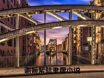 谢婉絮陆聿霆小说（谢婉絮陆聿霆）全文免费阅读无弹窗大结局_谢婉絮陆聿霆最新章节列表_笔趣阁