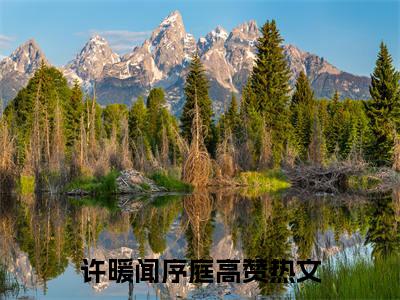 抖音热推高点击小说（许暖闻序庭）在线阅读-许暖闻序庭无广告阅读