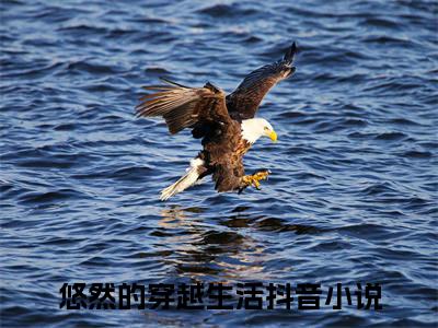 悠然的穿越生活小说悠然沈泽最新章节阅读-最新热点小说悠然的穿越生活