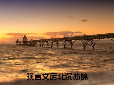 厉北沉苏锦全文免费阅读无弹窗大结局-厉北沉苏锦无弹窗阅读
