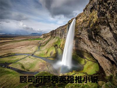 顾司衍邱秀英小说全文阅读-顾司衍邱秀英小说全文完整版免费阅读