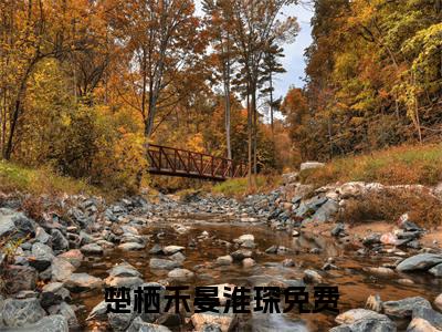 楚栖禾晏淮琛（楚栖禾晏淮琛）小说全文免费阅读无弹窗-（楚栖禾晏淮琛）小说全文免费阅读最新章节列表笔趣阁