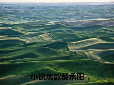 房歆薛承阳(房歆薛承阳)全文免费阅读大结局_房歆薛承阳(房歆薛承阳)免费在线阅读无删减_笔趣阁（房歆薛承阳）