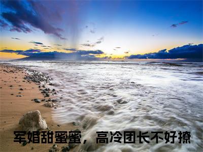 蒋南衡苏韵（军婚甜蜜蜜，高冷团长不好撩免费小说）全文免费阅读无弹窗大结局_军婚甜蜜蜜，高冷团长不好撩免费小说最新章节列表_笔趣阁