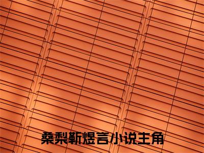 守寡重生后，我拿了救赎剧本（桑梨靳煜言）全集免费阅读无弹窗_(桑梨靳煜言小说免费阅读)_笔趣阁
