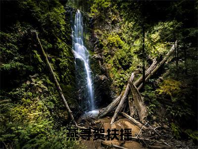 《燕寻贺扶摇》全文免费阅读最新章节大结局-燕寻贺扶摇 全文全章节免费阅读