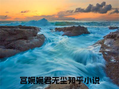 惊！抄家前，医妃搬空了京城（宫婉婉君无尘小说）全文免费阅读无弹窗大结局_（惊！抄家前，医妃搬空了京城）宫婉婉君无尘小说最新章节列表_笔趣阁（宫婉婉君无尘小说）