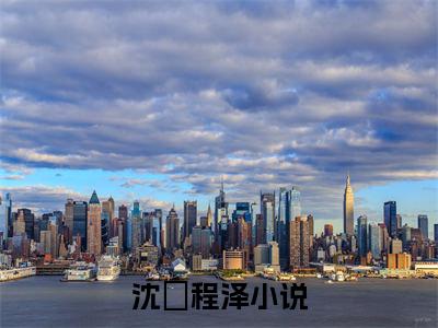 沈玥程泽全文免费阅读无弹窗大结局_(沈玥程泽阅读全文大结局)沈玥程泽最新章节列表（沈玥程泽）