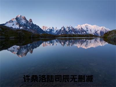 许桑洛陆司辰（许桑洛陆司辰）全文在线阅读无弹窗大结局_(许桑洛陆司辰免费阅读全文大结局)最新章节列表_笔趣阁（许桑洛陆司辰）