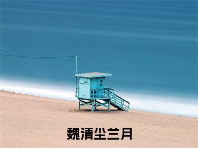 魏清尘兰月（魏清尘兰月小说）全文免费阅读无弹窗大结局_（魏清尘兰月）魏清尘兰月最新章节列表笔趣阁（魏清尘兰月）