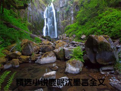 鹿眠沈墨言小说（鹿眠沈墨言）全文免费阅读无弹窗大结局_（鹿眠沈墨言）鹿眠沈墨言最新章节列表笔趣阁（鹿眠沈墨言）
