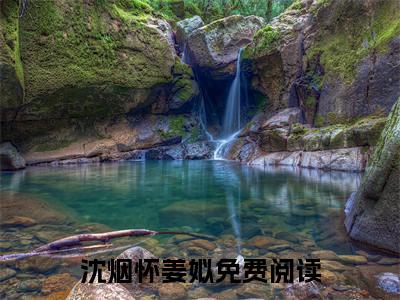 结婚的第三年，他在外面养了一只金丝雀（沈烟怀姜姒）全文免费阅读无弹窗大结局_结婚的第三年，他在外面养了一只金丝雀小说全文免费阅读最新章节列表（沈烟怀姜姒）