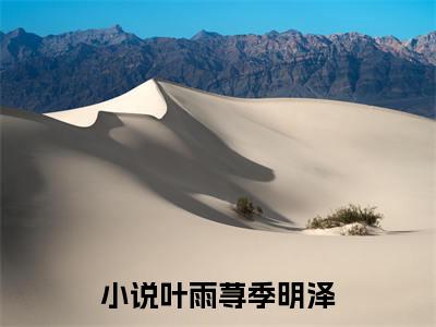 叶雨荨季明泽（叶雨荨季明泽）小说全文免费阅读正版无弹窗_(叶雨荨季明泽)最新章节列表