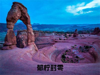 郁柠封雩全文免费阅读无弹窗大结局_（郁柠封雩在线阅读）郁柠封雩最新章节完整版阅读