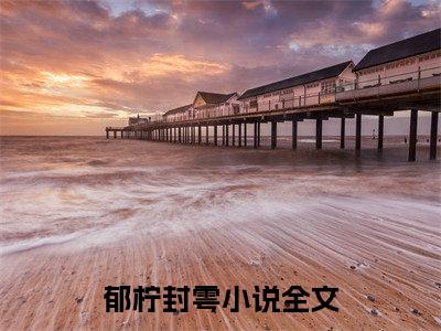 郁柠封雩全文小说（郁柠封雩）在线阅读无弹窗大结局_郁柠封雩全文在线阅读无弹窗