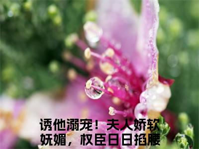 小说云盈夏严憬堔无弹窗免费阅读-新上热文小说（诱他溺宠！夫人娇软妩媚，权臣日日掐腰吻）讲的是什么