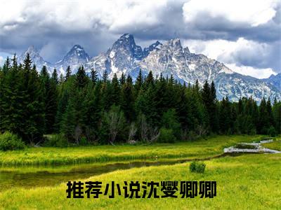 沈燮卿卿小说（沈燮卿卿）小说全文无删减版在线阅读_沈燮卿卿小说最新章节列表