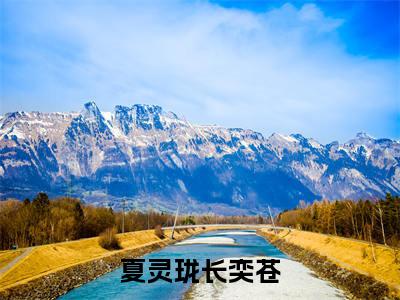 夏灵珑长奕苍小说全文免费阅读-夏灵珑长奕苍最新小说全文阅读