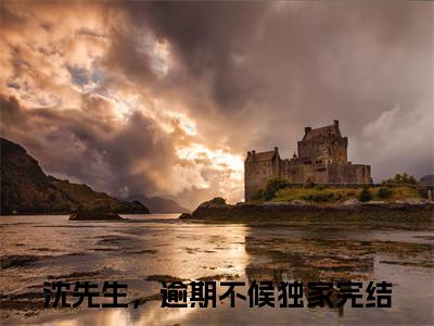 孟琼沈逢西（沈先生，逾期不候免费小说）全文免费阅读无弹窗大结局_沈先生，逾期不候免费小说最新章节列表_笔趣阁