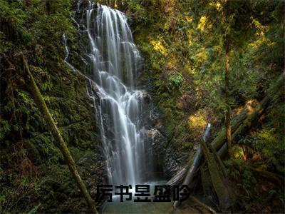 厉书昱盛吟是什么小说-厉书昱盛吟免费小说在线阅读