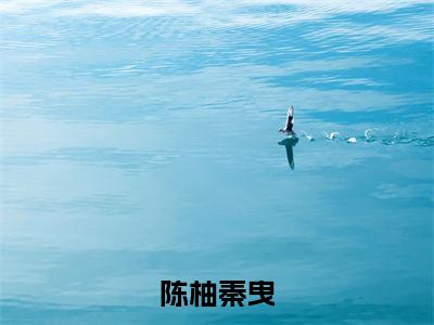 陈柚秦曳（陈柚秦曳）全文免费阅读无弹窗大结局-（陈柚秦曳）陈柚秦曳全文完结版阅读