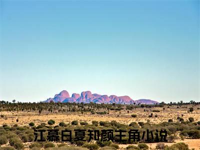 美文摘抄江慕白夏知颜-小说大结局免费阅读