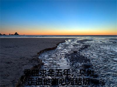 《陆西辞沈温杳》无弹窗大结局（委曲求全五年，只为走进他的心）-抖音热推陆西辞沈温杳无弹窗阅读最新章节列表_笔趣阁