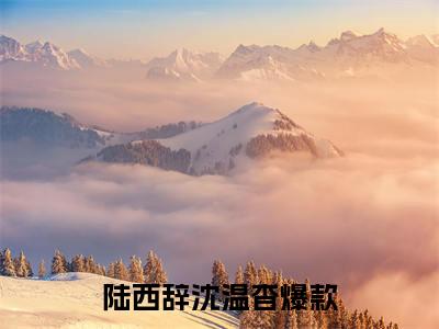 委曲求全五年，只为走进他的心（陆西辞沈温杳）全文免费阅读无弹窗大结局_陆西辞沈温杳_笔趣阁