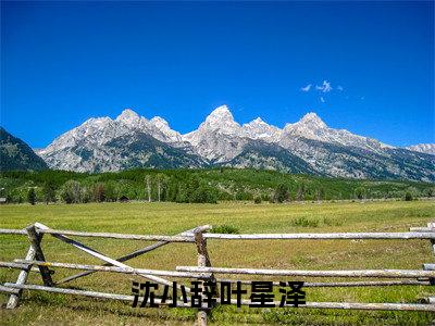 沈小辞叶星泽免费阅读（沈小辞叶星泽）全文免费阅读无弹窗大结局_沈小辞叶星泽免费阅读最新章节列表_笔趣阁（沈小辞叶星泽）