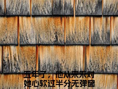 五年了，他从来未对她心软过半分（姜意南盛淮安）的小说完整版免费阅读 主角是（五年了，他从来未对她心软过半分）姜意南盛淮安无弹窗免费阅读