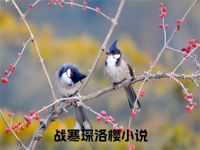 （战寒琛洛樱）全文免费阅读无弹窗大结局_（战寒琛洛樱阅读无弹窗）战寒琛洛樱最新章节列表_笔趣阁（战寒琛洛樱）