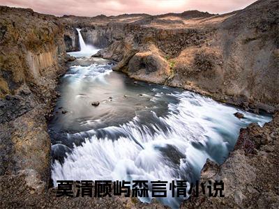 莫清顾屿森精彩小说莫清顾屿森大结局全本免费阅读