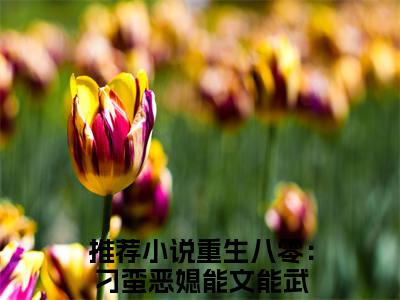 纪菘蓝沈昭小说全文免费阅读正版 重生八零：刁蛮恶媳能文能武免费阅读无弹窗