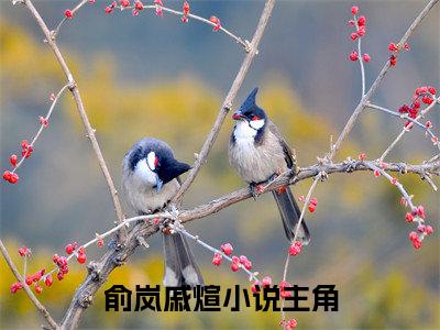 俞岚戚煊(俞岚戚煊)全文免费阅读无弹窗大结局_(俞岚戚煊免费阅读全文大结局)最新章节列表