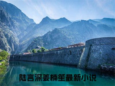 陆言深姜楠笙全文免费阅读大结局-认识我，你真的后悔了吗结局免费阅读