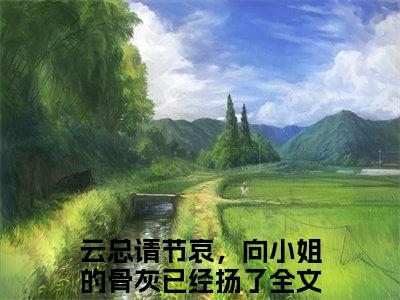 向晚云琰热门小说在哪免费看-小说云总请节哀，向小姐的骨灰已经扬了（向晚云琰）完整版全文在线赏析