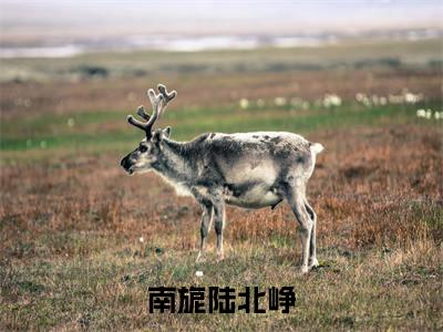 南旎陆北峥（南旎陆北峥）全文免费阅读无弹窗大结局_南旎陆北峥小说免费最新章节列表_笔趣阁