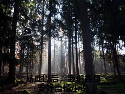 裴青简乔听晚（从此以后，我们各自安好）在哪免费看-裴青简乔听晚小说（从此以后，我们各自安好）全文完整版免费阅读