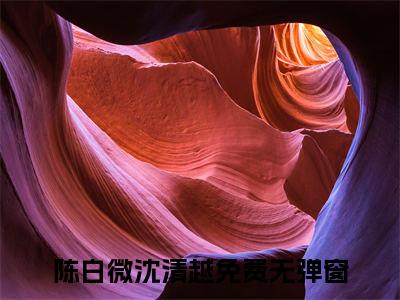 陈白微沈清越热门小说在线阅读 陈白微沈清越全网推荐（陈白微沈清越）全文