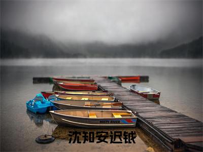 沈知安迟钺免费小说 沈知安迟钺全文无弹窗完整版阅读