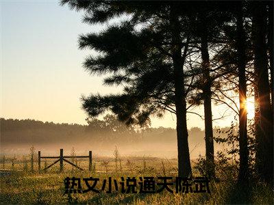 通天陈武(通天陈武)小说免费阅读-通天陈武（通天陈武）全文阅读-笔趣阁（通天陈武）