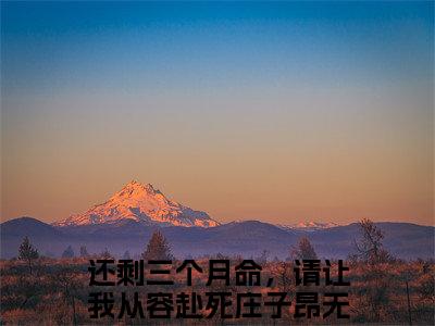 还剩三个月命，请让我从容赴死庄子昂甜宠小说哪里能看还剩三个月命，请让我从容赴死庄子昂-还剩三个月命，请让我从容赴死庄子昂小说阅读全集